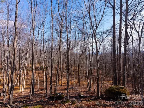220 Chesterfield Drive Mill Spring NC 28756