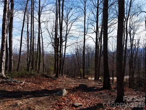 220 Chesterfield Drive Mill Spring NC 28756