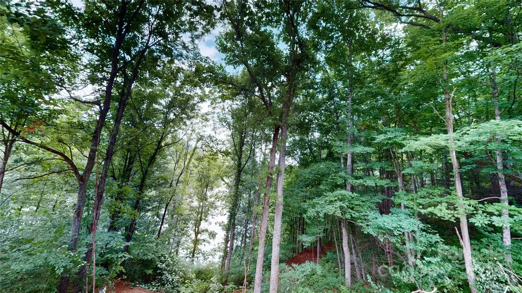 000 White Oak Road Waynesville NC 28785