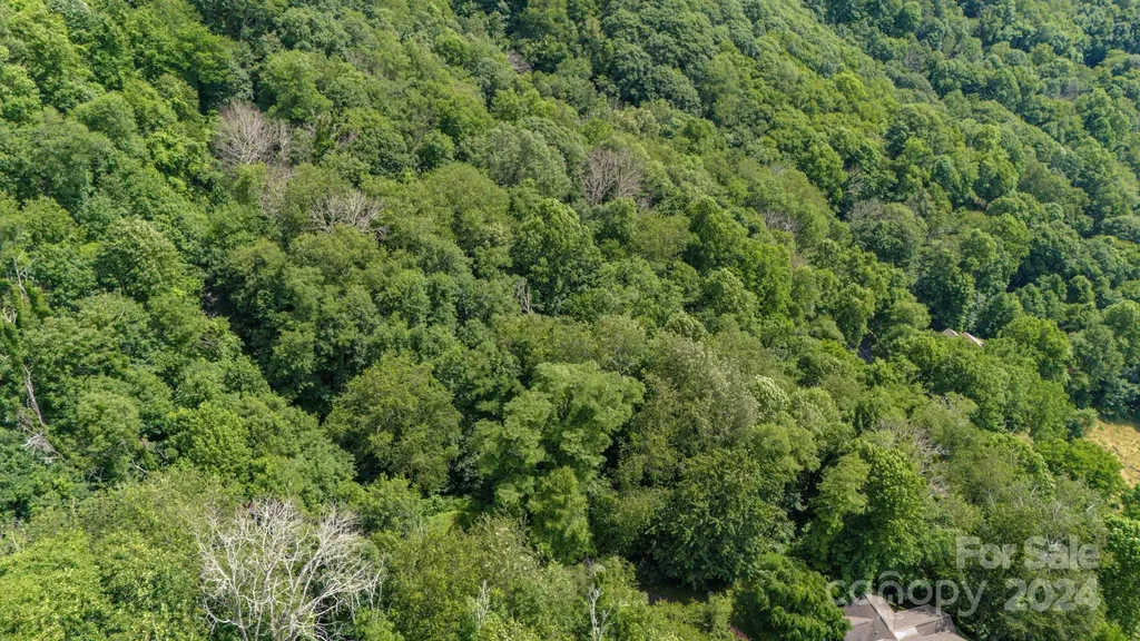 35 Twisted Trail Waynesville NC 28786