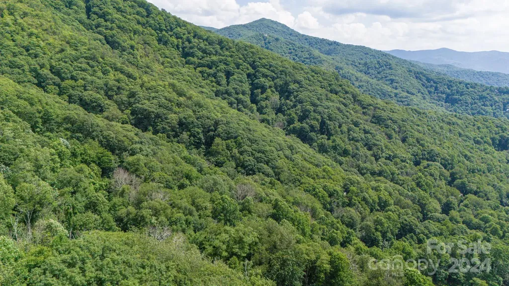 35 Twisted Trail Waynesville NC 28786