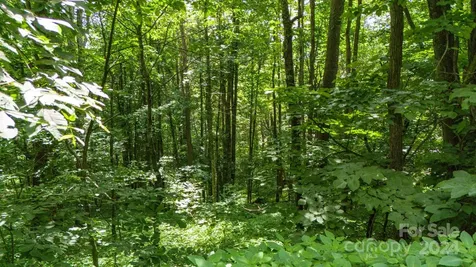 35 Twisted Trail Waynesville NC 28786