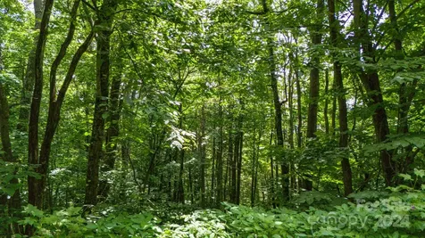 35 Twisted Trail Waynesville NC 28786