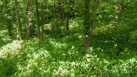 35 Twisted Trail Waynesville NC 28786