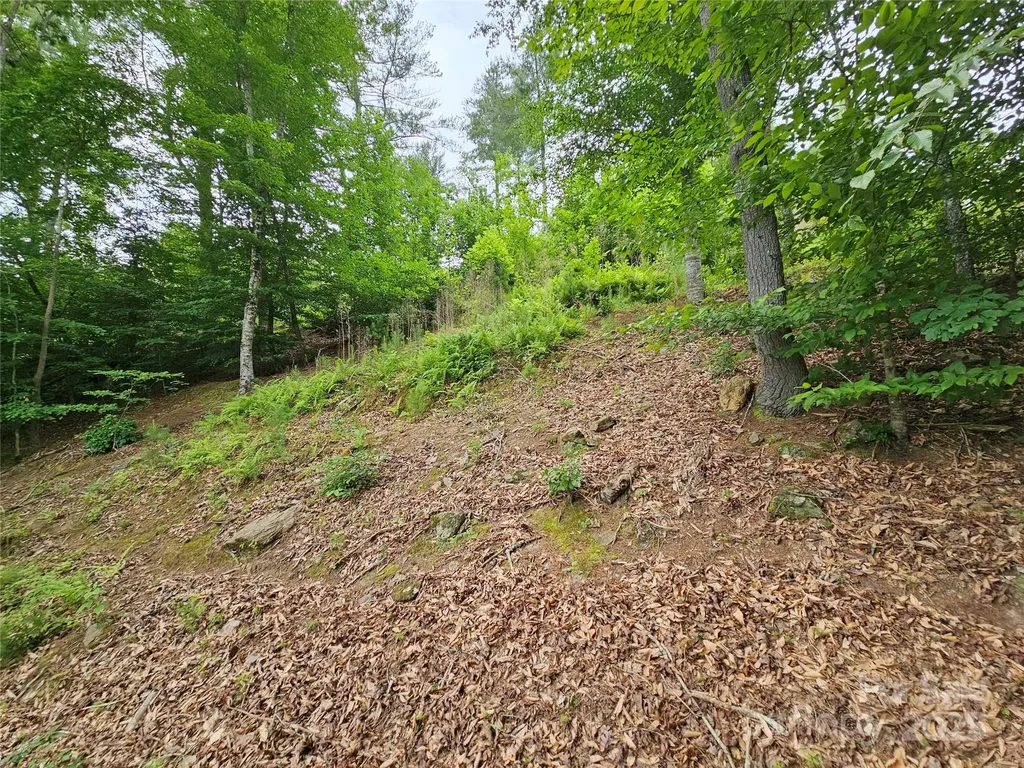 2620 Waterside Boulevard NW Valdese NC 28690