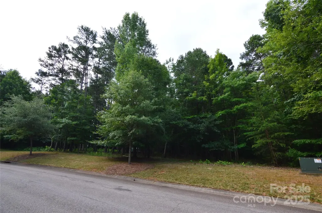 8013 Water View Drive Belmont NC 28012
