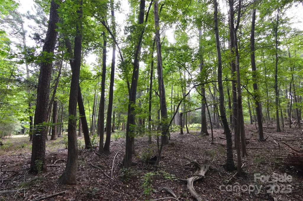 8013 Water View Drive Belmont NC 28012