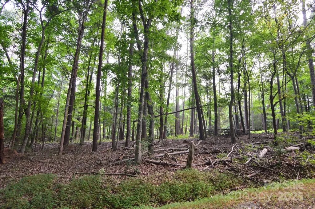 8013 Water View Drive Belmont NC 28012
