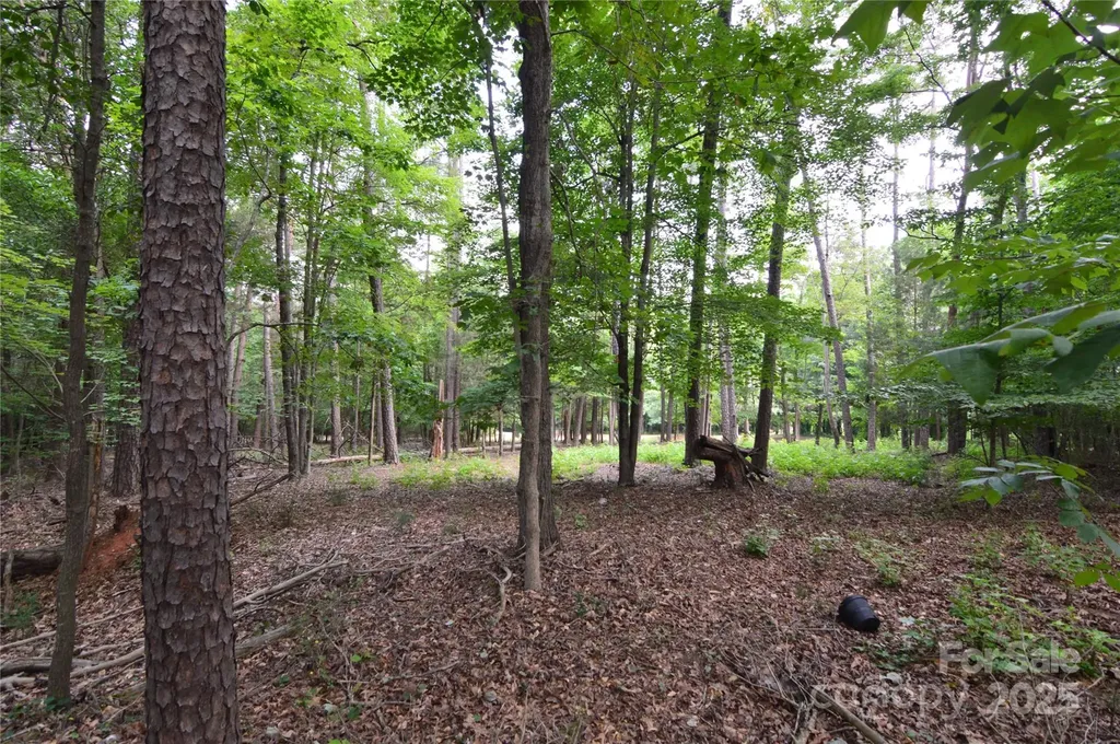 8013 Water View Drive Belmont NC 28012