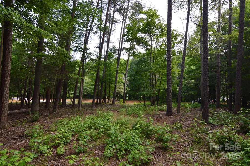 8013 Water View Drive Belmont NC 28012
