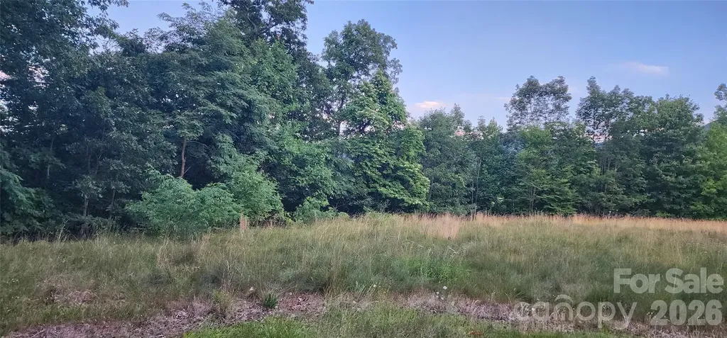 1-3 King Horn Ridge Waynesville NC 28785