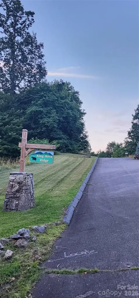 1-3 King Horn Ridge Waynesville NC 28785