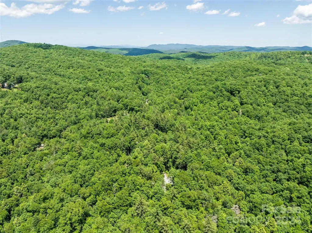 78 Smiling Fox Trail Brevard NC 28712