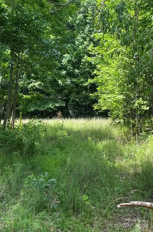 199 Cherry Hill Mill Spring NC 28756