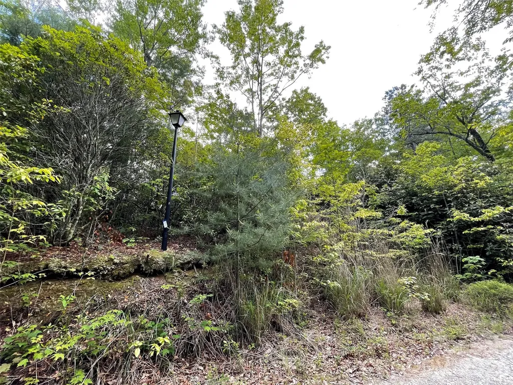 72 Emma Bri Lane Penrose NC 28766