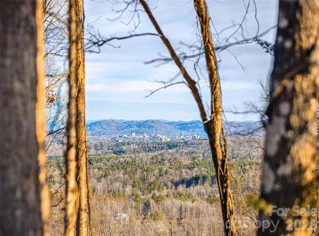 755 Tea House Drive Asheville NC 28803