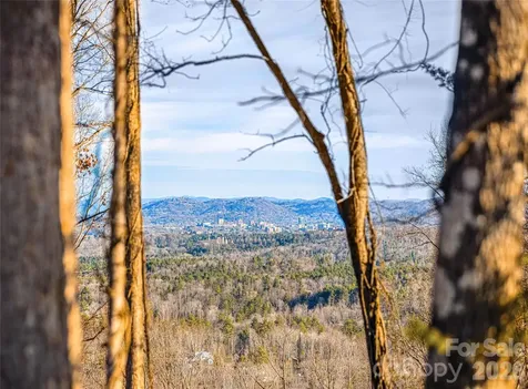 755 Tea House Drive Asheville NC 28803