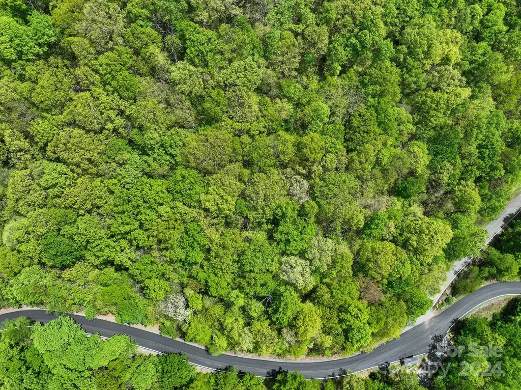 99999 Winding Poplar Road Black Mountain NC 28711
