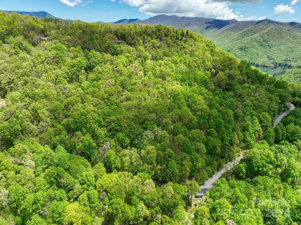 99999 Winding Poplar Road Black Mountain NC 28711