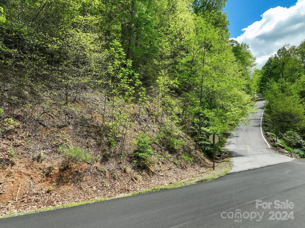 99999 Winding Poplar Road Black Mountain NC 28711