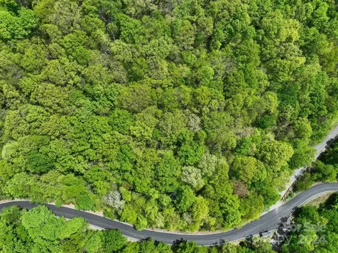 99999 Winding Poplar Road Black Mountain NC 28711
