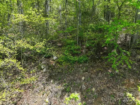 99999 Winding Poplar Road Black Mountain NC 28711