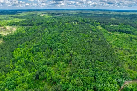 0 Woods Ferry Road Carlisle SC 29031