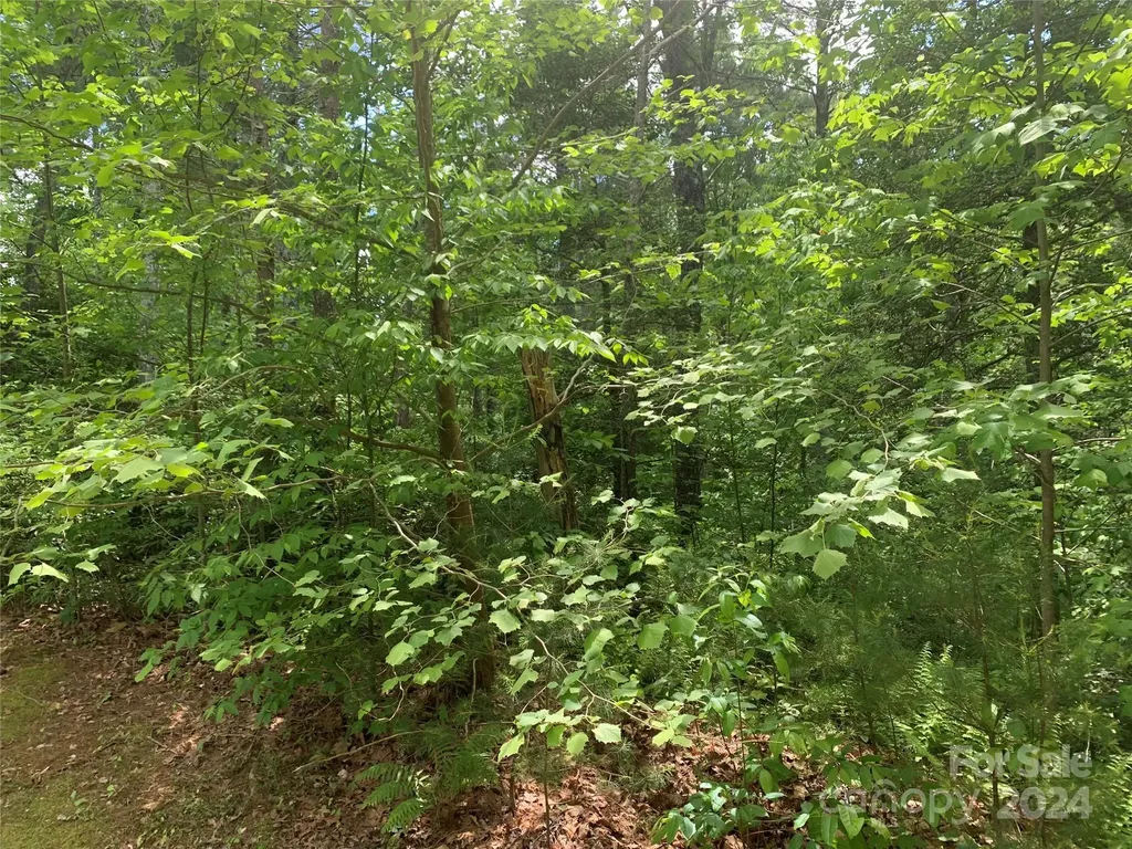 2.45 Acres, Lot 309, 1211 Winding Creek Way Lenoir NC 28645