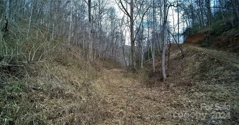 Tbd Tee Pee Drive Whittier NC 28789