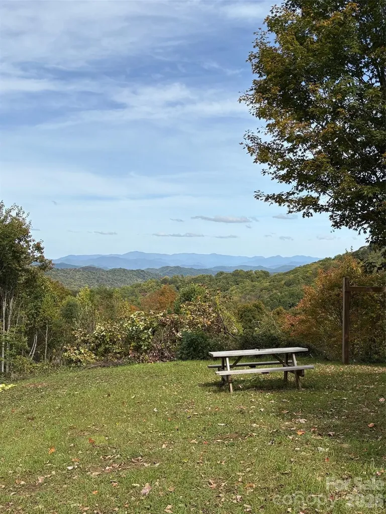 Tract 2 Turkey Trot Road Clyde NC 28721