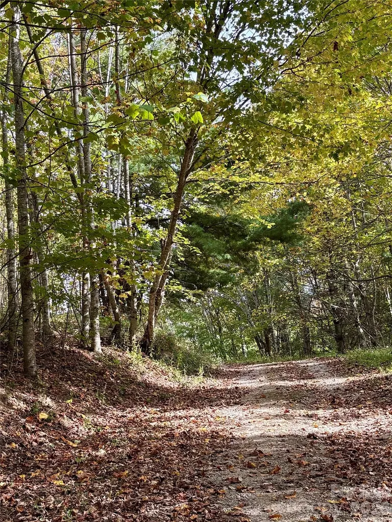 Tract 2 Turkey Trot Road Clyde NC 28721