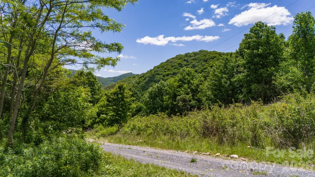 Tract 2 Turkey Trot Road Clyde NC 28721
