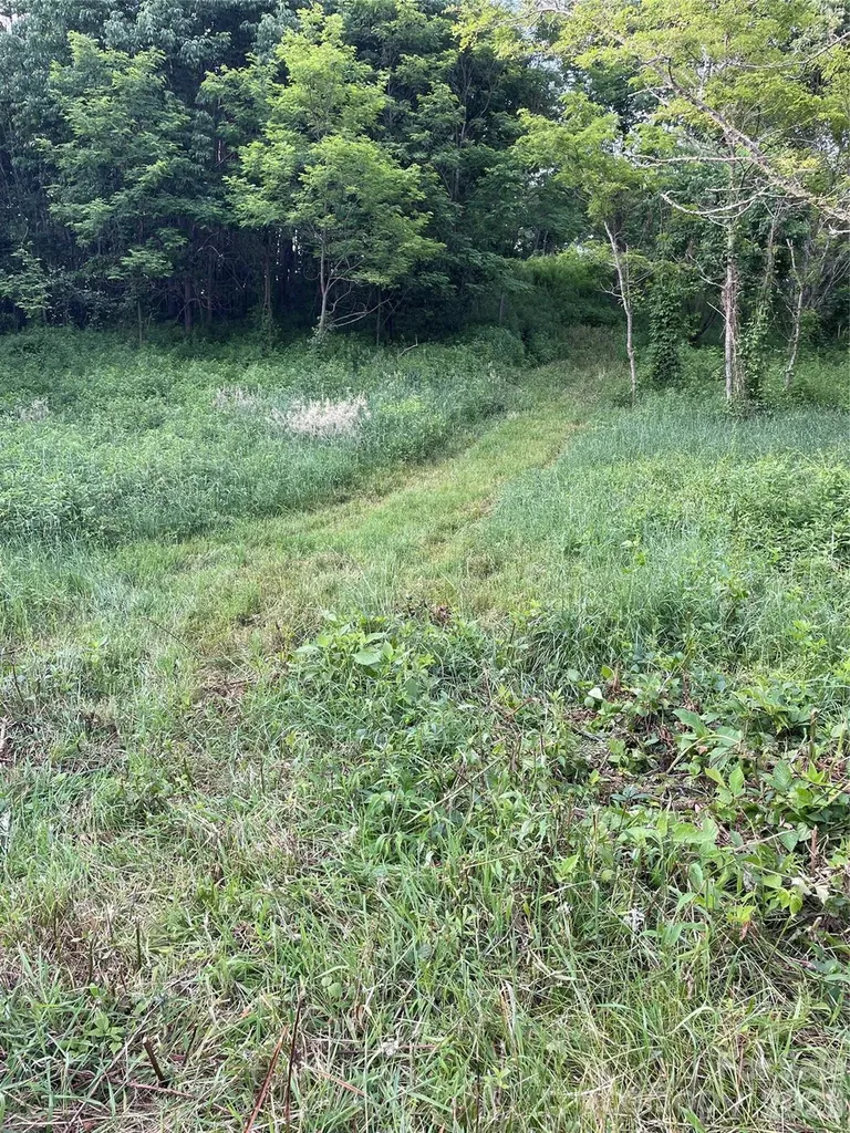 Tract 2 Turkey Trot Road Clyde NC 28721