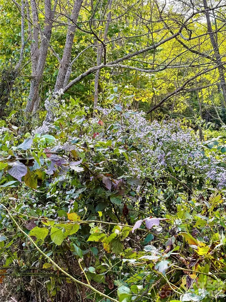 Tract 2 Turkey Trot Road Clyde NC 28721