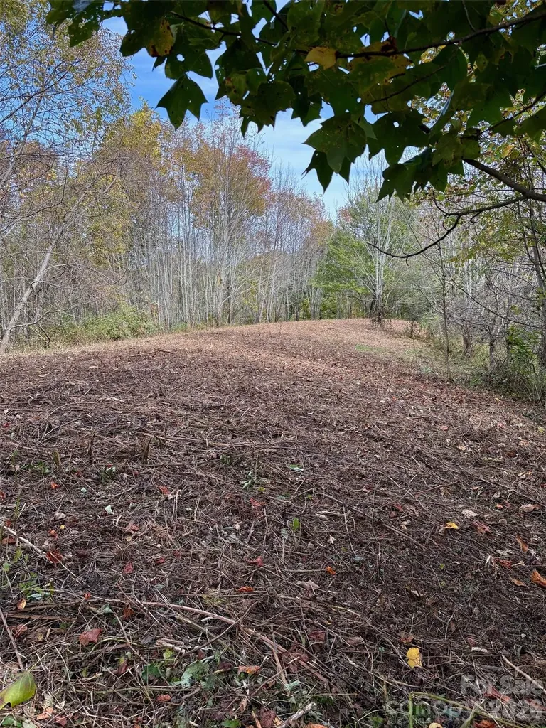 Tract 2 Turkey Trot Road Clyde NC 28721
