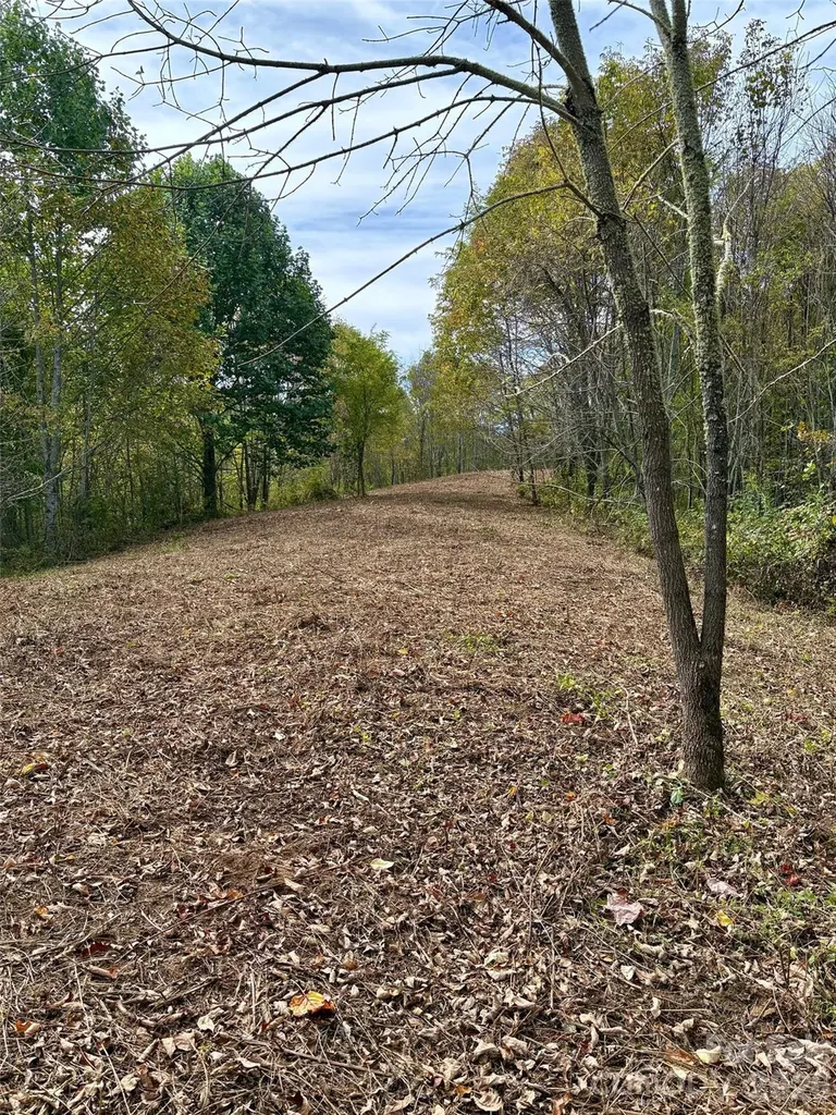 Tract 2 Turkey Trot Road Clyde NC 28721