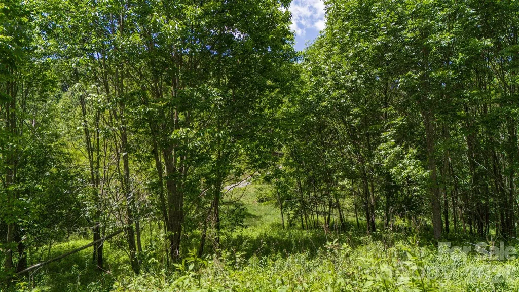 Tract 2 Turkey Trot Road Clyde NC 28721