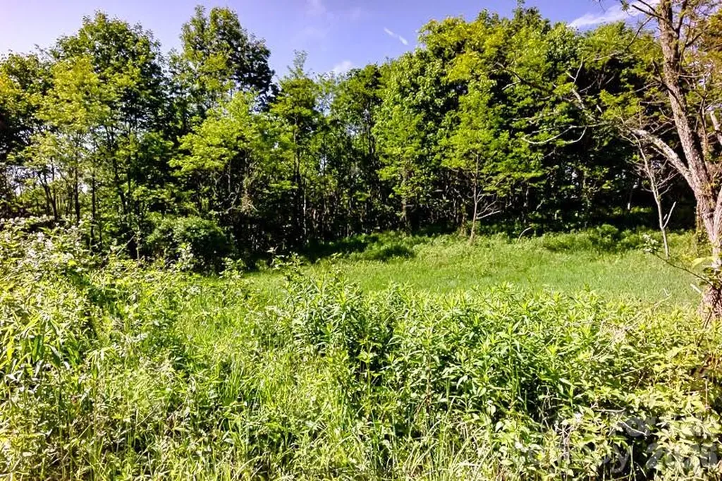Tract 2 Turkey Trot Road Clyde NC 28721