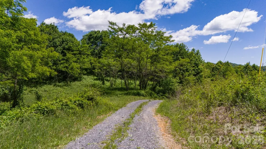 Tract 2 Turkey Trot Road Clyde NC 28721
