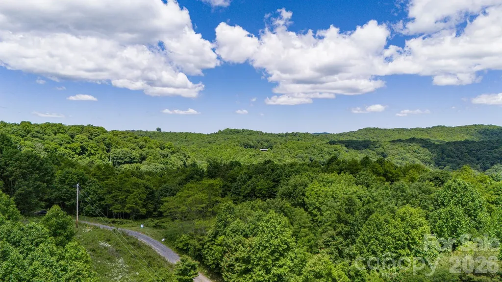 Tract 2 Turkey Trot Road Clyde NC 28721