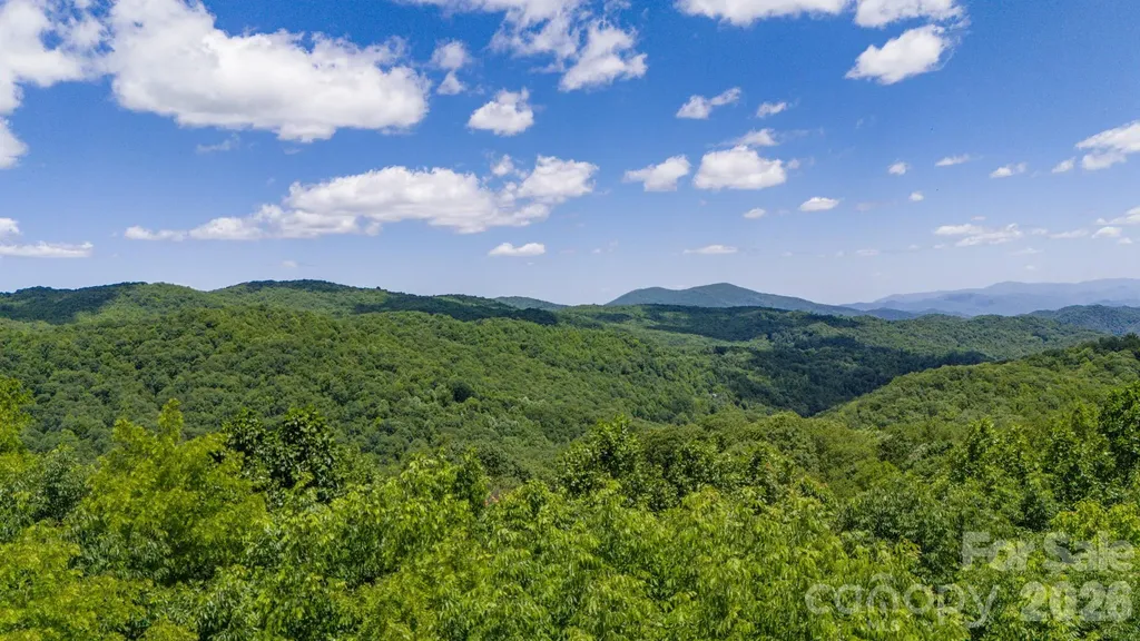 Tract 2 Turkey Trot Road Clyde NC 28721