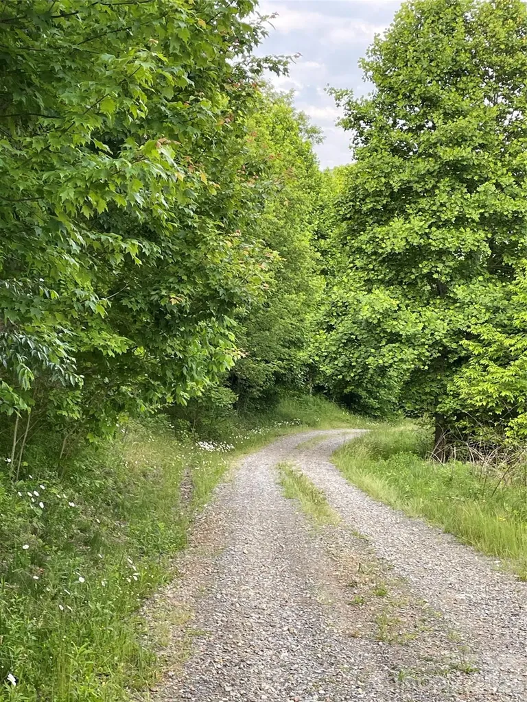 Tract 2 Turkey Trot Road Clyde NC 28721
