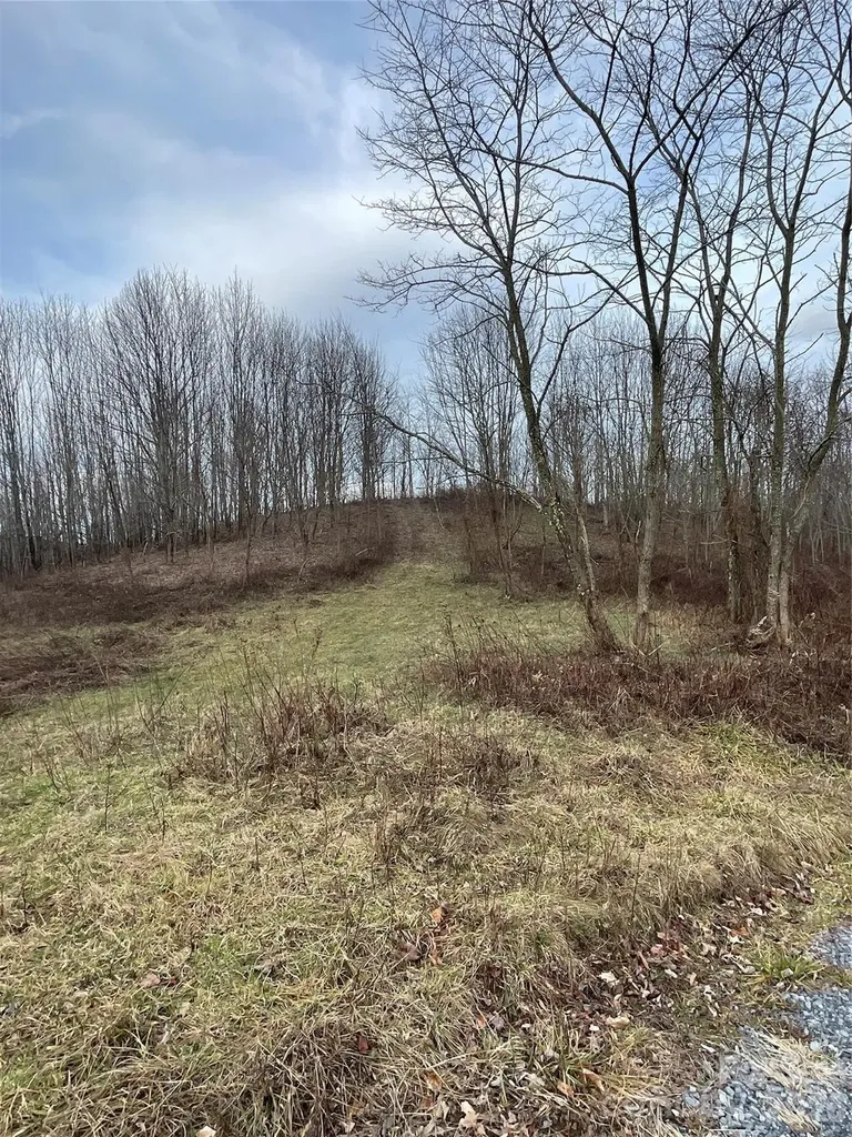 Tract 2 Turkey Trot Road Clyde NC 28721