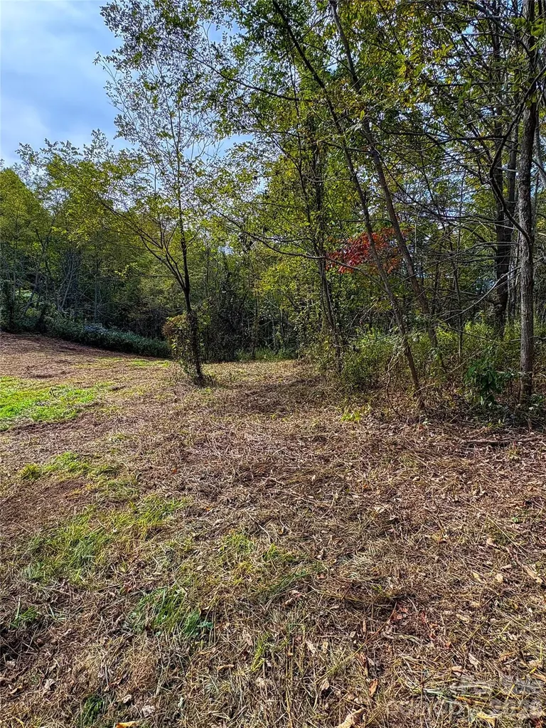 Tract 2 Turkey Trot Road Clyde NC 28721