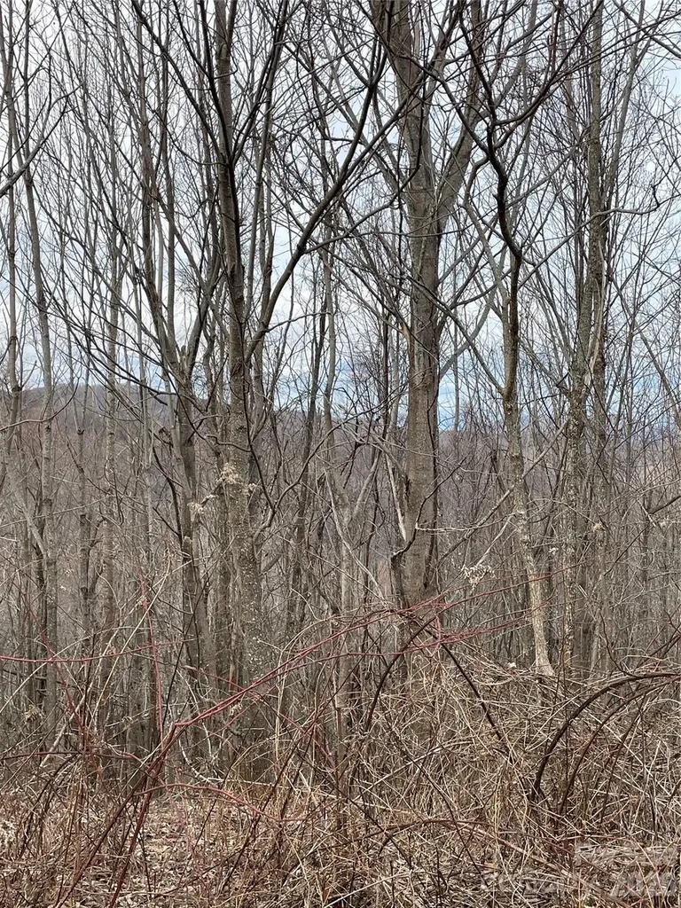 Tract 2 Turkey Trot Road Clyde NC 28721