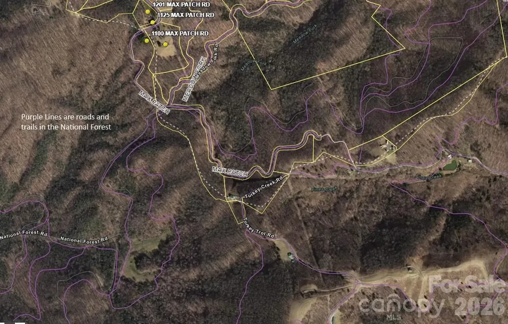 Tract 2 Turkey Trot Road Clyde NC 28721