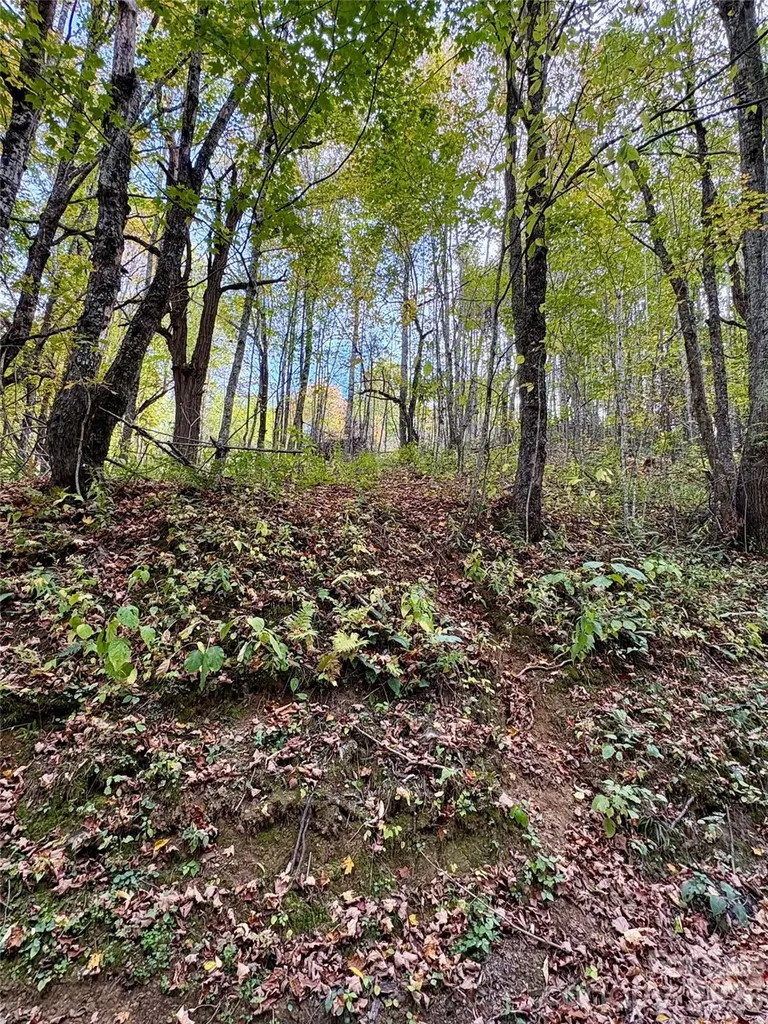 Tract 2 Turkey Trot Road Clyde NC 28721