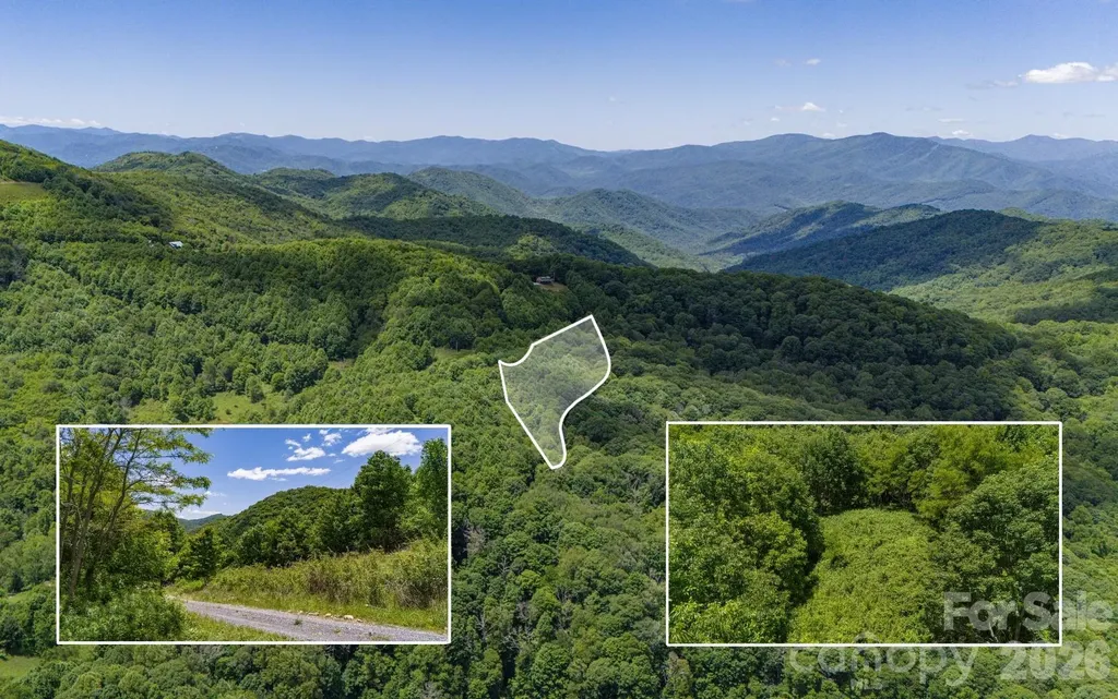 Tract 2 Turkey Trot Road Clyde NC 28721