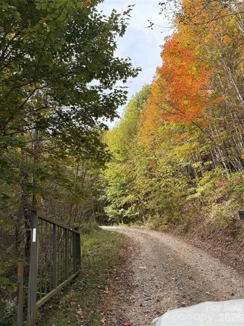 Tract 2 Turkey Trot Road Clyde NC 28721