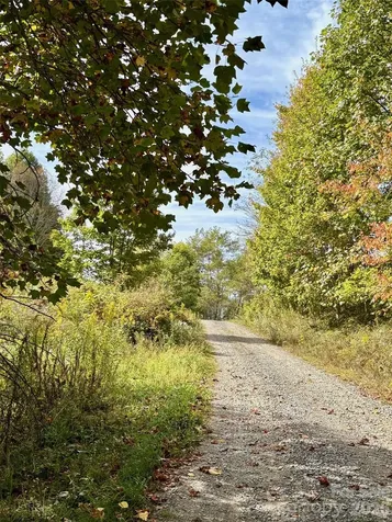 Tract 2 Turkey Trot Road Clyde NC 28721